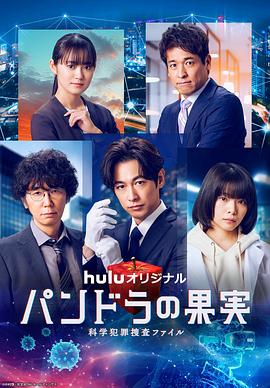 常德seo优化收费